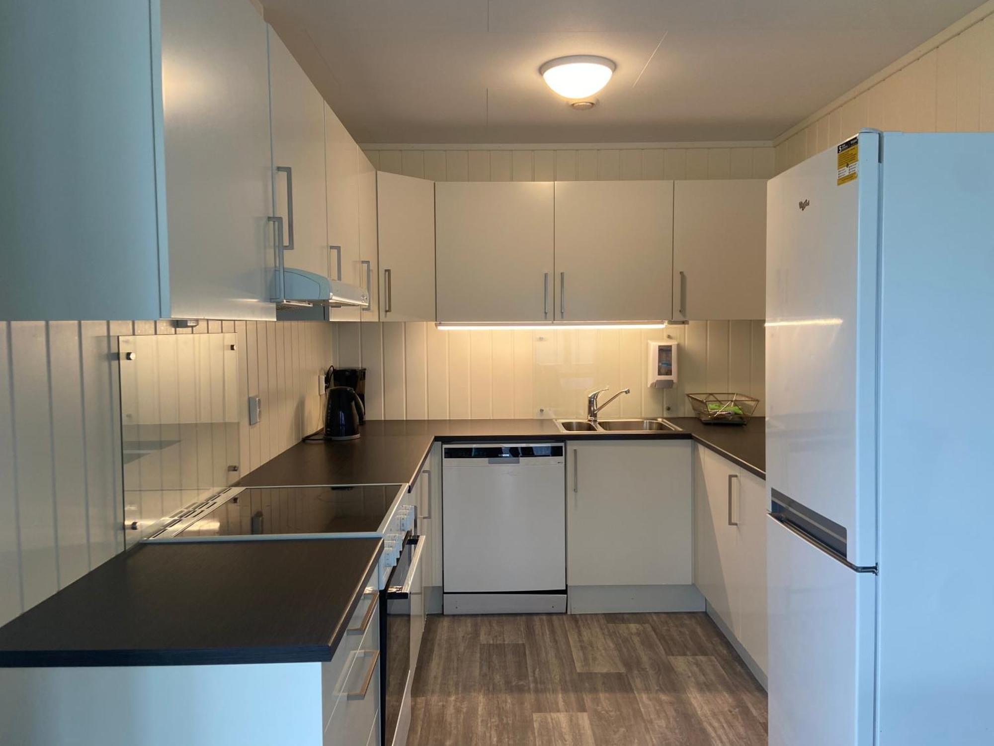 Winjum Apartments Aurland Stegastein エクステリア 写真